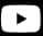 youtube.webp